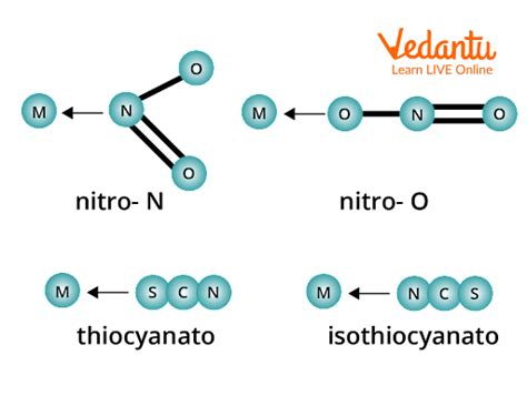 Chelating Ligand, Ambidentate Ligand, and Flexidentate Ligand for JEE Exam