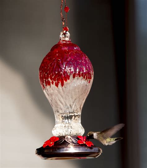 Hummingbird Feeders – We Love Hummingbirds