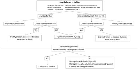 Tumor Lysis Syndrome Treatment Algorithm
