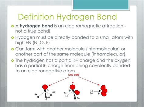Hydrogen Bond Examples List