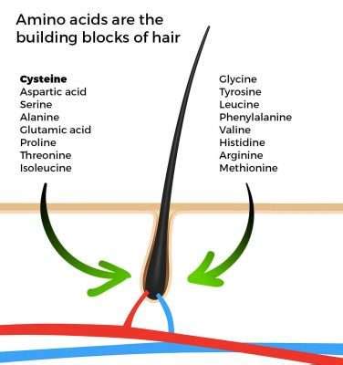 How to make your hair grow faster, longer and healthier: The NKI Method - nicehair.org: How to ...