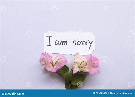 I am Sorry Message Card with Pink Flowers Stock Image - Image of love, floral: 124229477