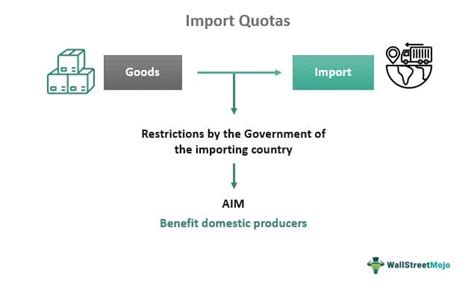 Import Quotas - What Are They, Example, Effect, Type