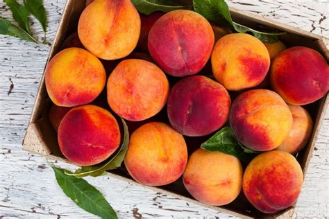 Your Guide to the Best Kinds of Peaches (and How to Cook With Them)