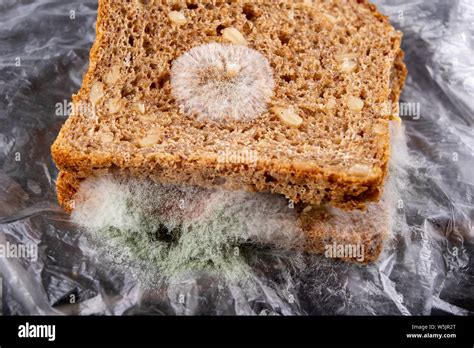 Moldy sandwich hi-res stock photography and images - Alamy