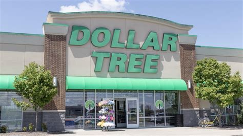 9 Essential Dollar Tree Buys for Achieving Your 2024 Saving Resolutions