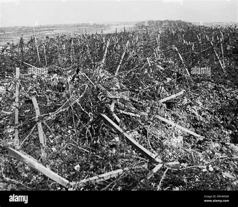 Devastation Of War High Resolution Stock Photography and Images - Alamy