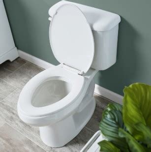 7 American Standard Toilet Flushing Problems Fixed!