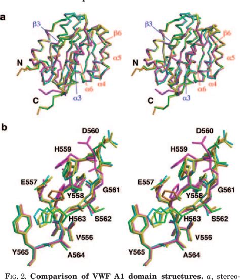 Figure 2 from Crystal Structure of von Willebrand Factor A1 Domain Complexed with Snake Venom ...