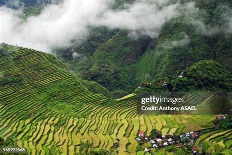 529 Batad Rice Terraces Stock Photos, High-Res Pictures, and Images ...