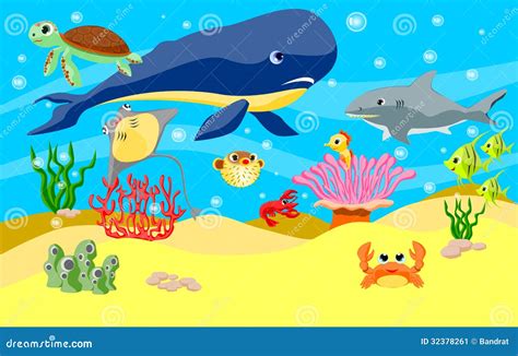 Ocean Animals Wallpaper
