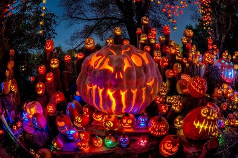 You Can Now Drive Through A Gourd-geous Field Of Jack-O-Lanterns At ...