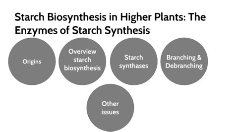 Starch Biosynthesis in Higher Plants: The Enzymes of Starch Synthesis by Thư Trần on Prezi