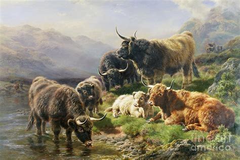 Highland Cattle Painting by William Watson