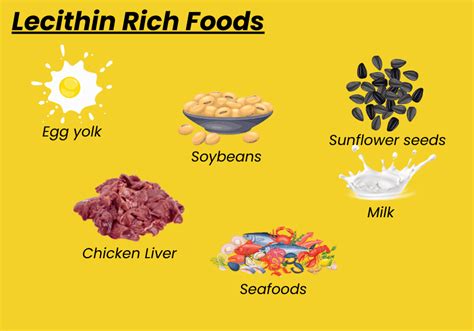 6 Best Lecithin Foods for Healthy Liver (Food Guide) - Allbe Canada