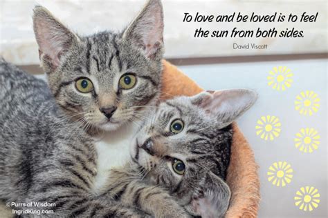 Sunday Quotes: Love and Be Loved - Purrs of Wisdom with Ingrid King