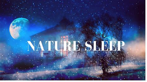 NATURE SLEEP - Sleep Music, Deep Sleep, Quiet Sleep, Meditation Music, Sleep Relaxation, Study ...