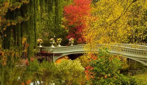 The Best Places to Spot Fall Foliage in NYC