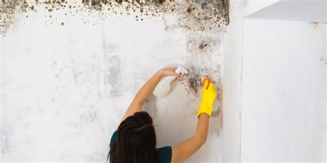 How To Get Rid Of Mold In The Basement? The Most Efficient Way!