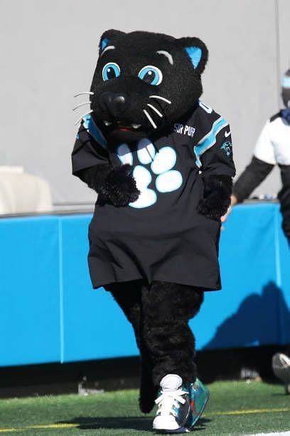 What is Carolina Panthers Mascot Sir Purr Salary?