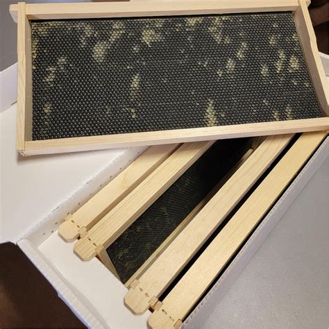 5 Frame Pro Nucs for sale | Lappe's Bee Supply Honey Farm