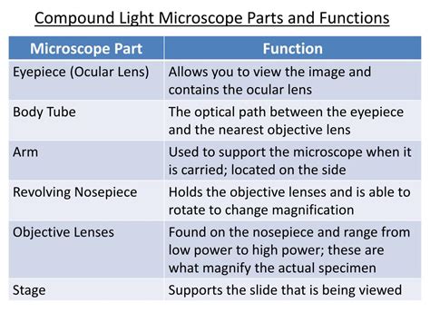 Compound Light Microscope Parts Functions Quiz | Shelly Lighting