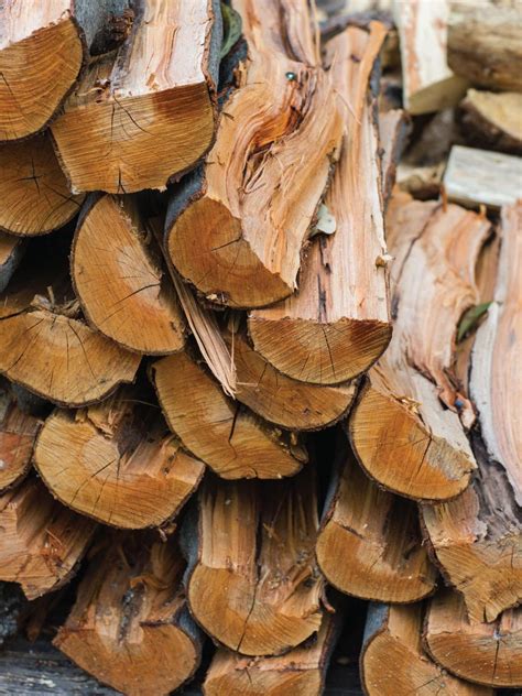 Choosing the Right Wood for Grilling | HGTV
