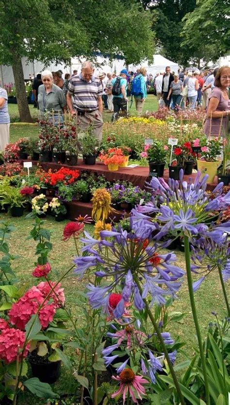 Everything you need to know about this year's Taunton Flower Show - Somerset Live