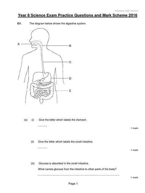 Year 8 Science Exam Practice Questions 2016 | Chemical Substances | Rock (Geology)