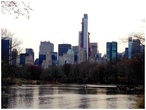 View from Central Park | New york skyline, Central park, Skyline