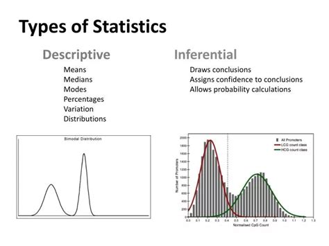 PPT - Types of Statistics PowerPoint Presentation, free download - ID ...