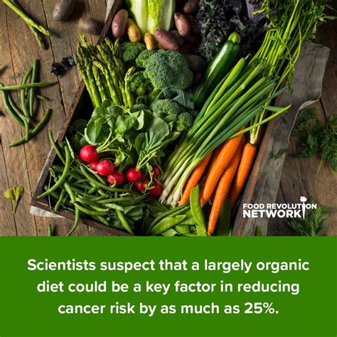 Organic Food and Cancer: How to Reduce Your Cancer Risk