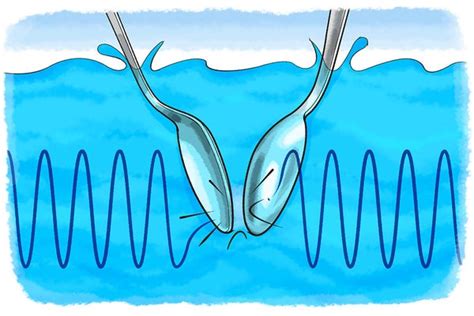 What Do You Hear Underwater? | Scientific American