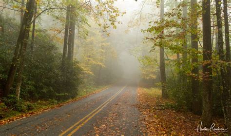 The 5 Best Places to See South Carolina Fall Foliage - RaulersonGirlsTravel