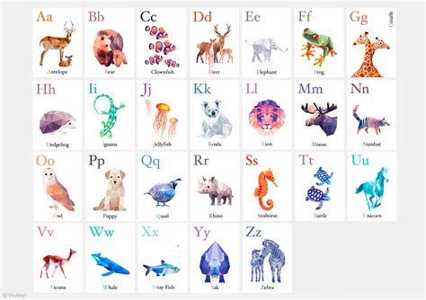 Alphabet flashcards ABC flash cards Alphabet art Animal