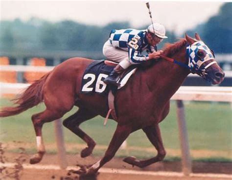 The Greatest Racehorse: Secretariat. - HubPages