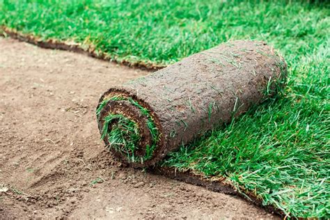 How to Lay Sod Over Your Existing Lawn | BetterLandscaping