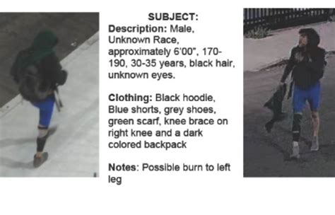 Man Sought In 10 Fwy Fire