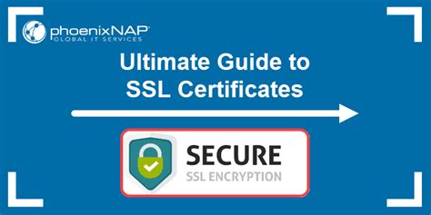 Ultimate Guide to Types of SSL Certificates {10 Types of SSL ...