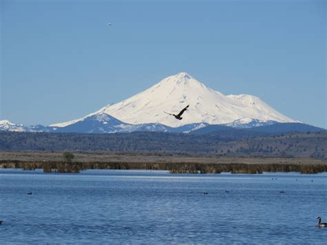 Vaughn the Road Again: Tule Lake National Wildlife Refuge