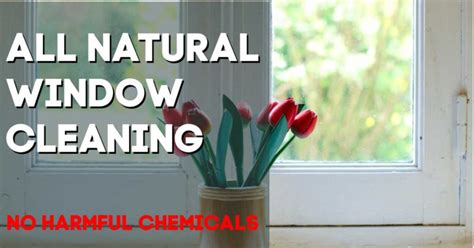 Homemade Natural Glass Cleaner | Get Rid Of Chemcials - Cut the Grime