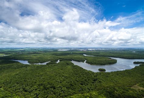 Descubre la cultura, ríos y ambiente natural de la Amazonía - Mi Viaje