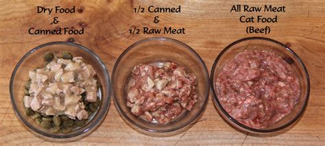 What is the Difference Between Raw and Canned Food for Cats? | The Happy Beast