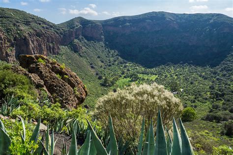 Hiking Tips for Caldera de Bandama in Gran Canaria - Rim and Caldera ...