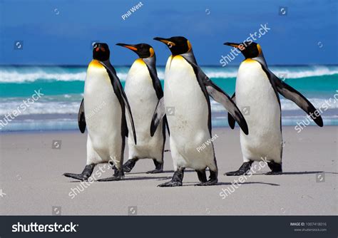 1,413 Four penguins Images, Stock Photos & Vectors | Shutterstock