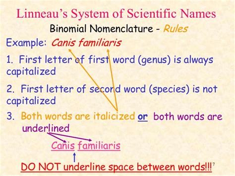 Linneau’s System of Scientific Names Binomial Nomenclature - Rules Example: Canis familiaris ...