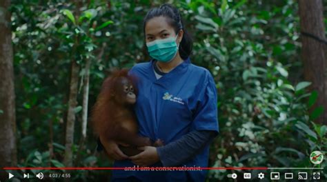 Short Film- Orangutans: People of the Forest - Orangutan Outreach