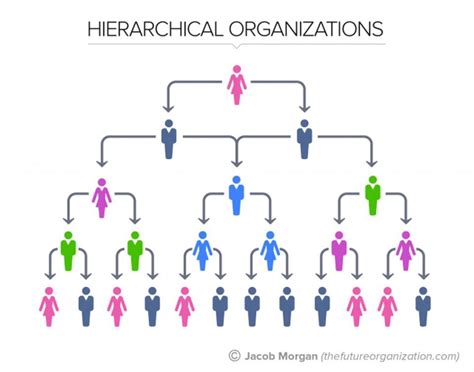 flatorganizationtypes-slide01-hires(05-21-15) Professional Life Coach, Professional Development ...