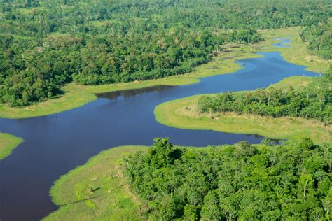 Deforestation Rate Of Amazon Rainforest Hits Record Highs ...