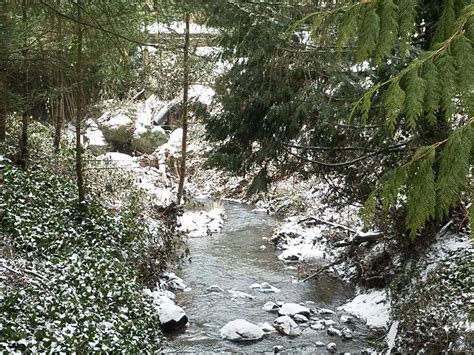 Raleigh Hills, Oregon #Snowpocalypse | How beautiful, Mind blown, Take my breath